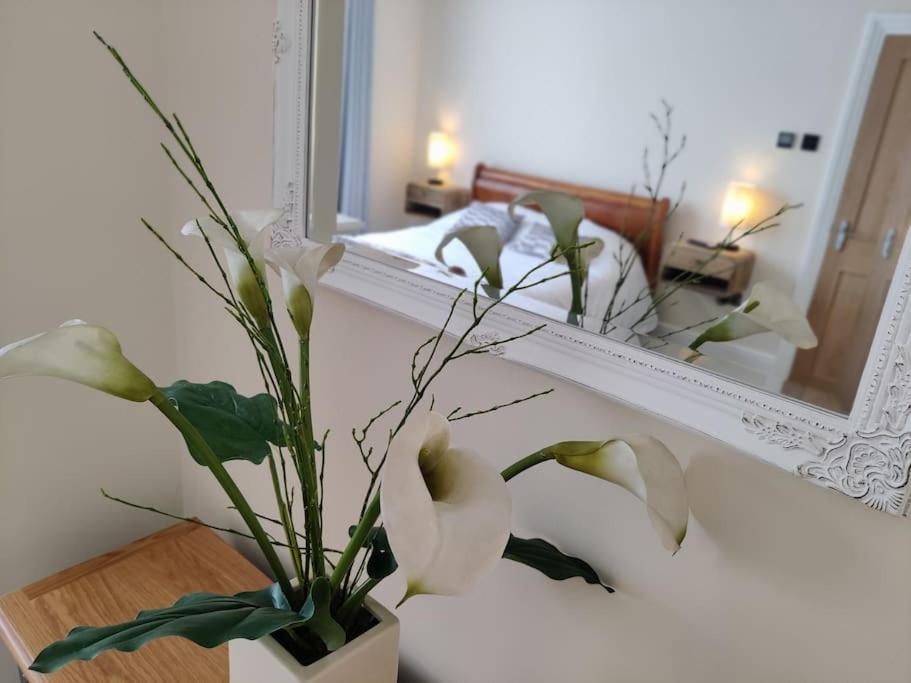 Escape To The Coast In A Luxurious Private Apartment 荷尼湾 外观 照片
